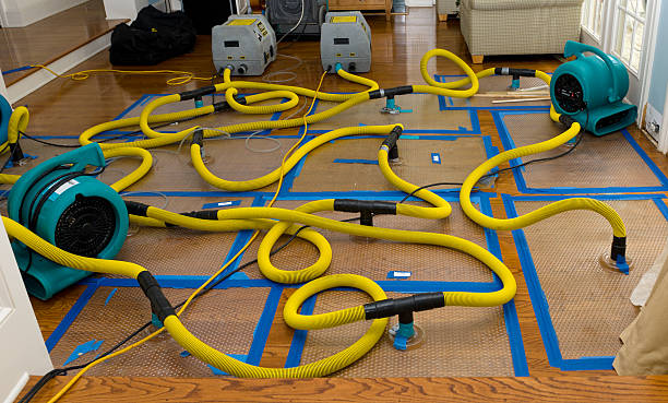 Professional Basement Flood Cleanup technician working in Valley, NE